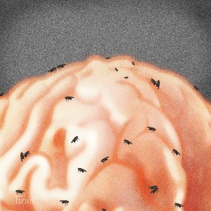 „Prošek”, Agent Orange i Róg Afryki