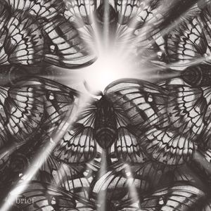 Seawing, ryba-robot i zielone Święta