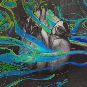 Pożywne rolexy, „słoneczna skóra” i lek na miłość