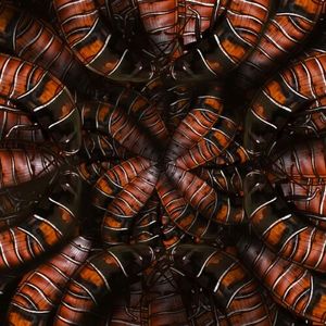 Wasta, karaluchy-cyborgi i płonące szkoły w Kenii