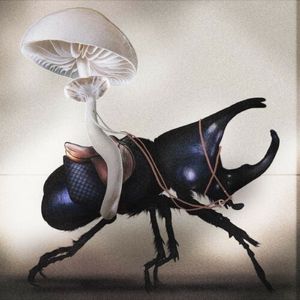 Grzyby z serialu, rosyjski import i drogi do szczęścia