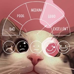 Alawici, Kids Wallet i tarcza ukraińska