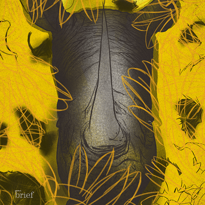 Zarobki a strefa czasowa, nierówności ekonomiczne i sztuczny liść